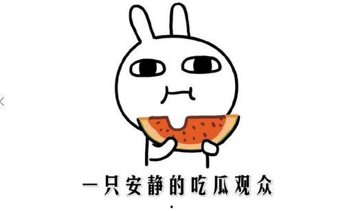 吃瓜群众表示什么意思