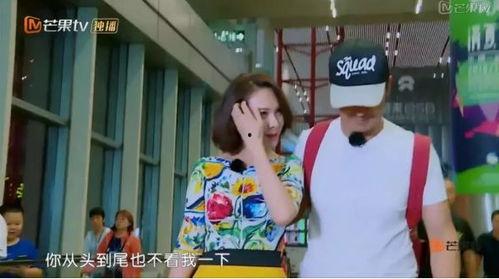 娱乐吃瓜第一站,娱乐吃瓜第一站，带你畅游八卦风云